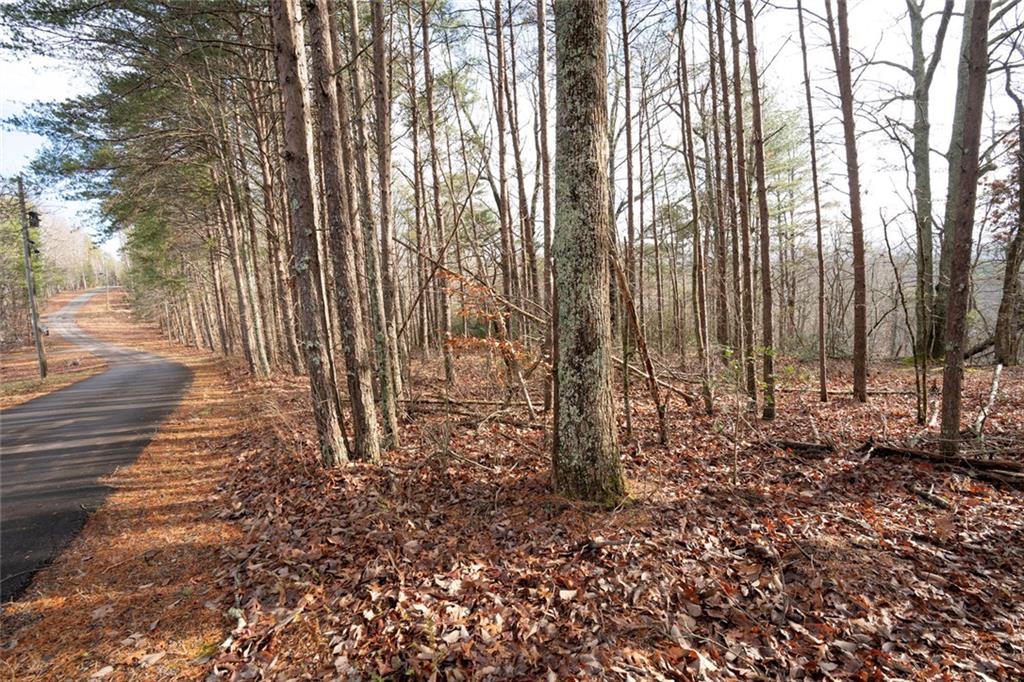 1 Amber Court Jasper, GA 30143 - Photo 8 of 16 a backyard of a house with lots of green space