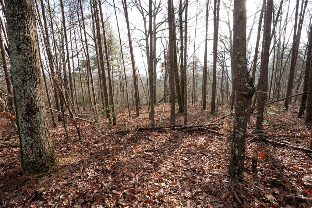 1 Amber Court Jasper, GA 30143 - Photo 9 of 16 a view of a backyard of the house