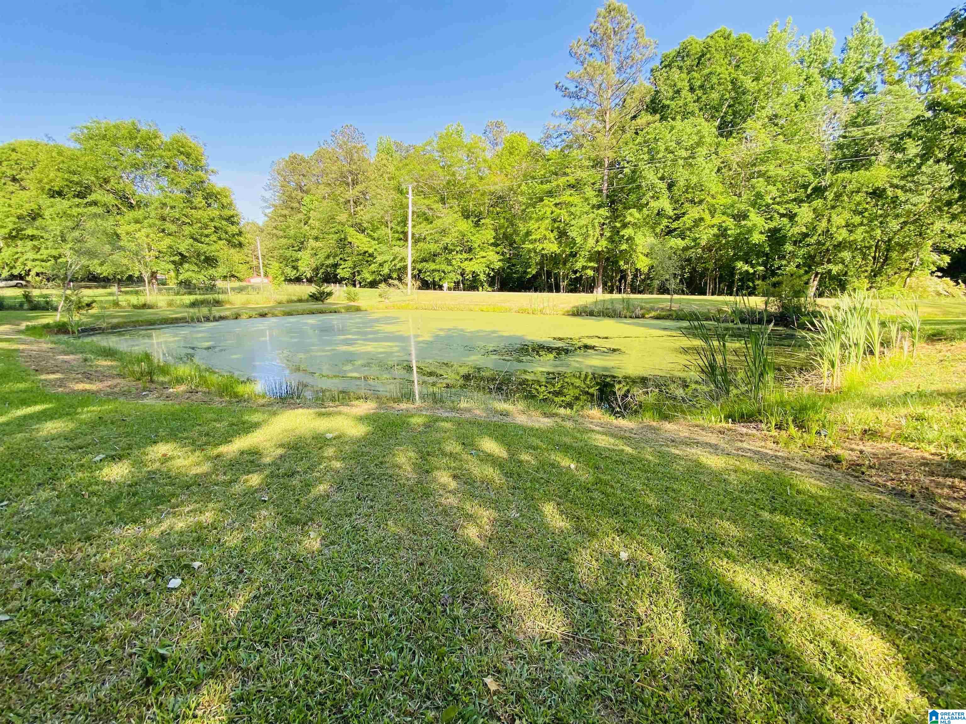 4541 Pleasant Valley Road Jacksonville, AL 36265 - Photo 9 of 48
