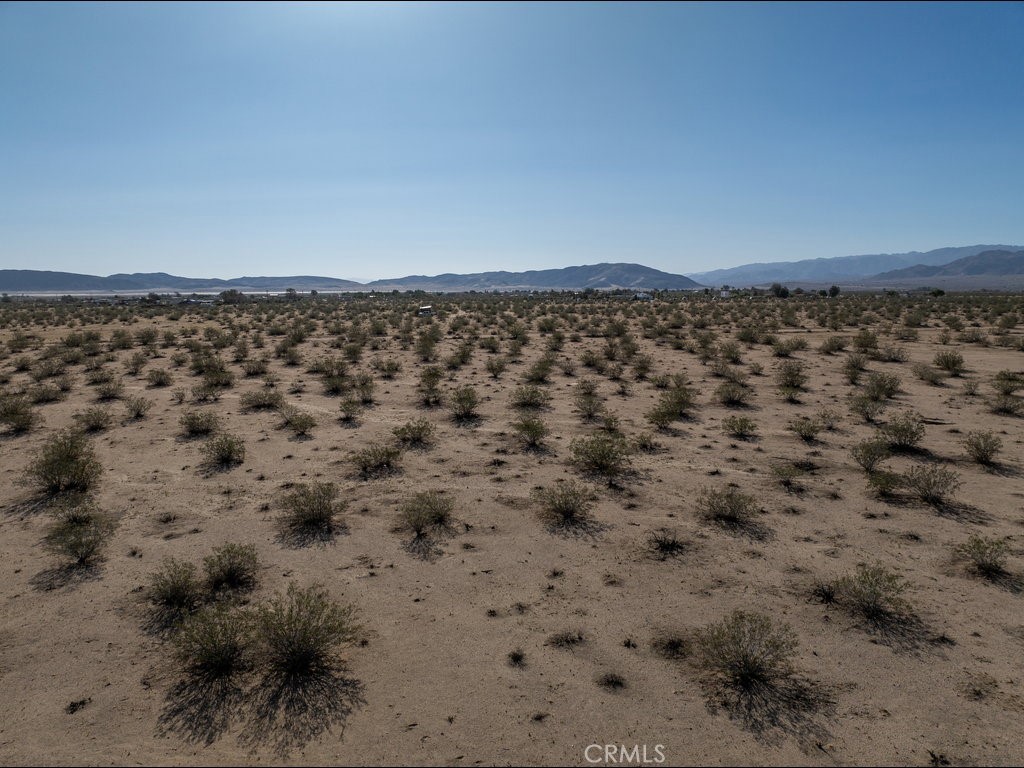 4773 California Avenue Joshua Tree, CA 92252 - Photo 12 of 14 a view of a dry yard
