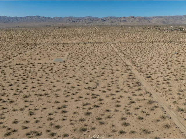 a view of a dry yard