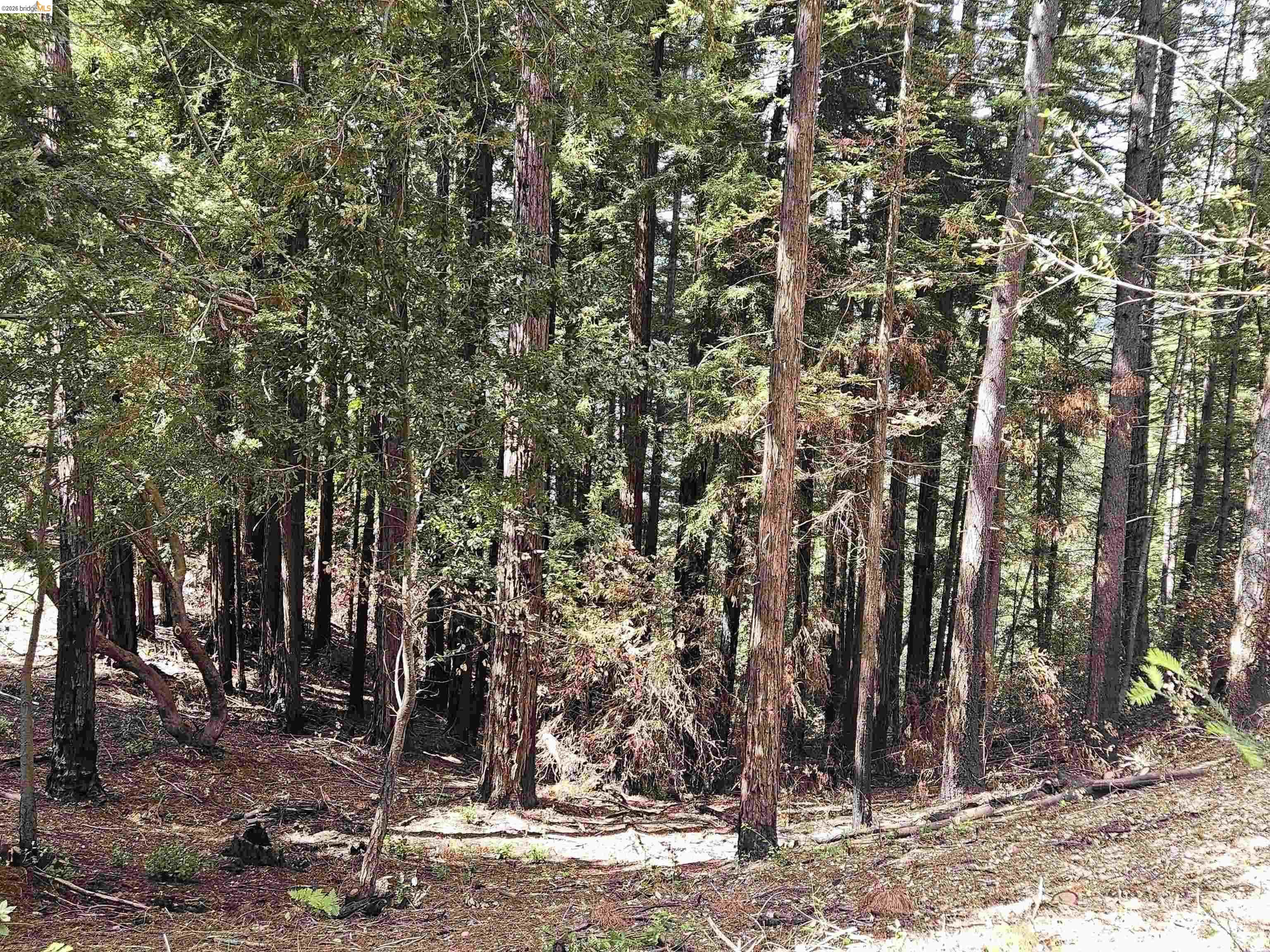 49100 Wickersham Road Geyserville, CA 95441 - Photo 48 of 76
