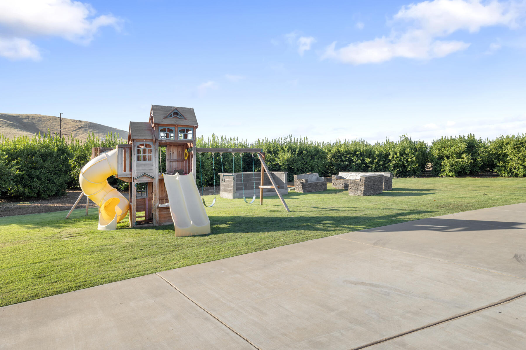 21031 Road 256 Strathmore, CA 93267 - Photo 49 of 55 yard