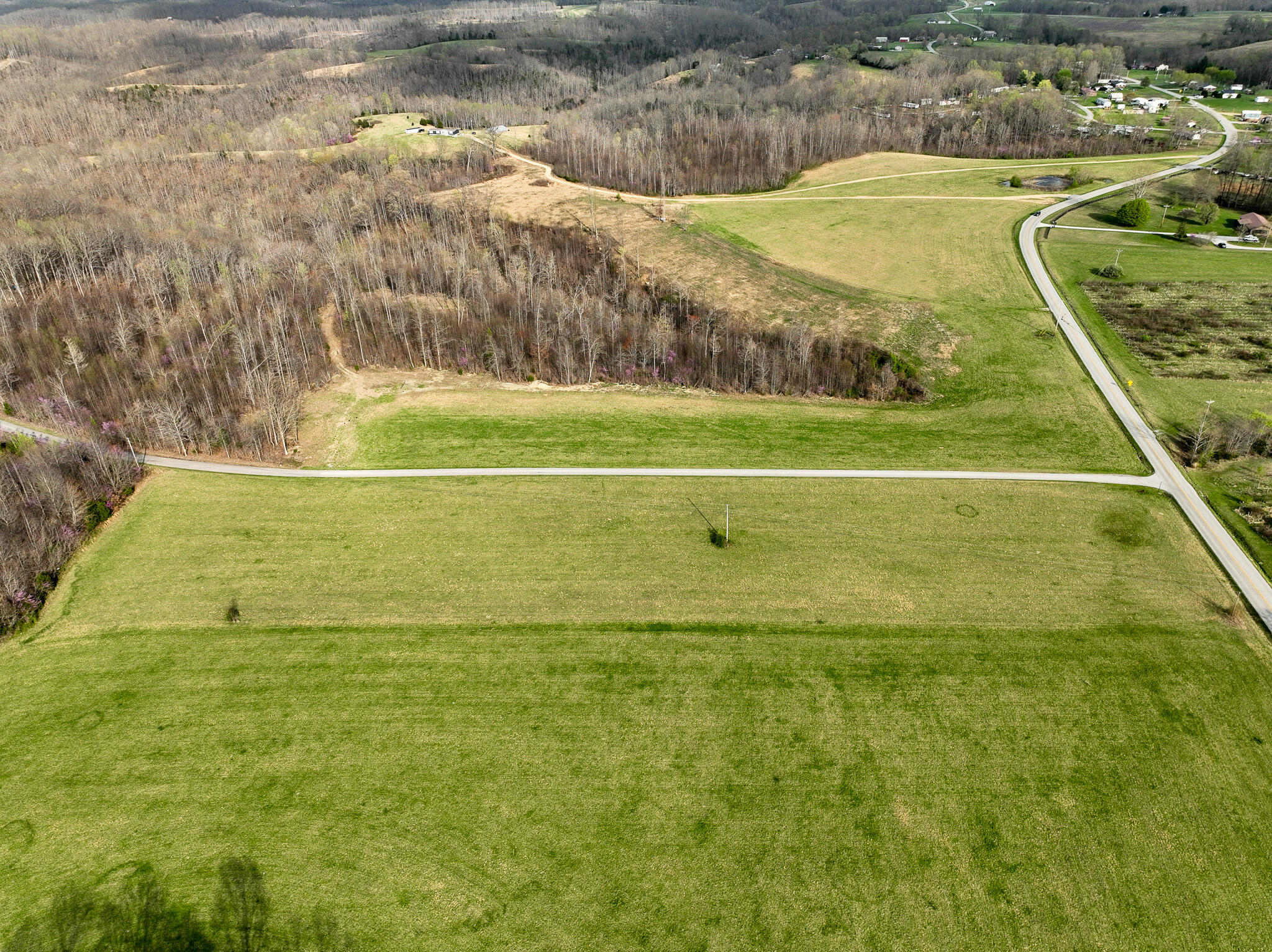 DJI_0310