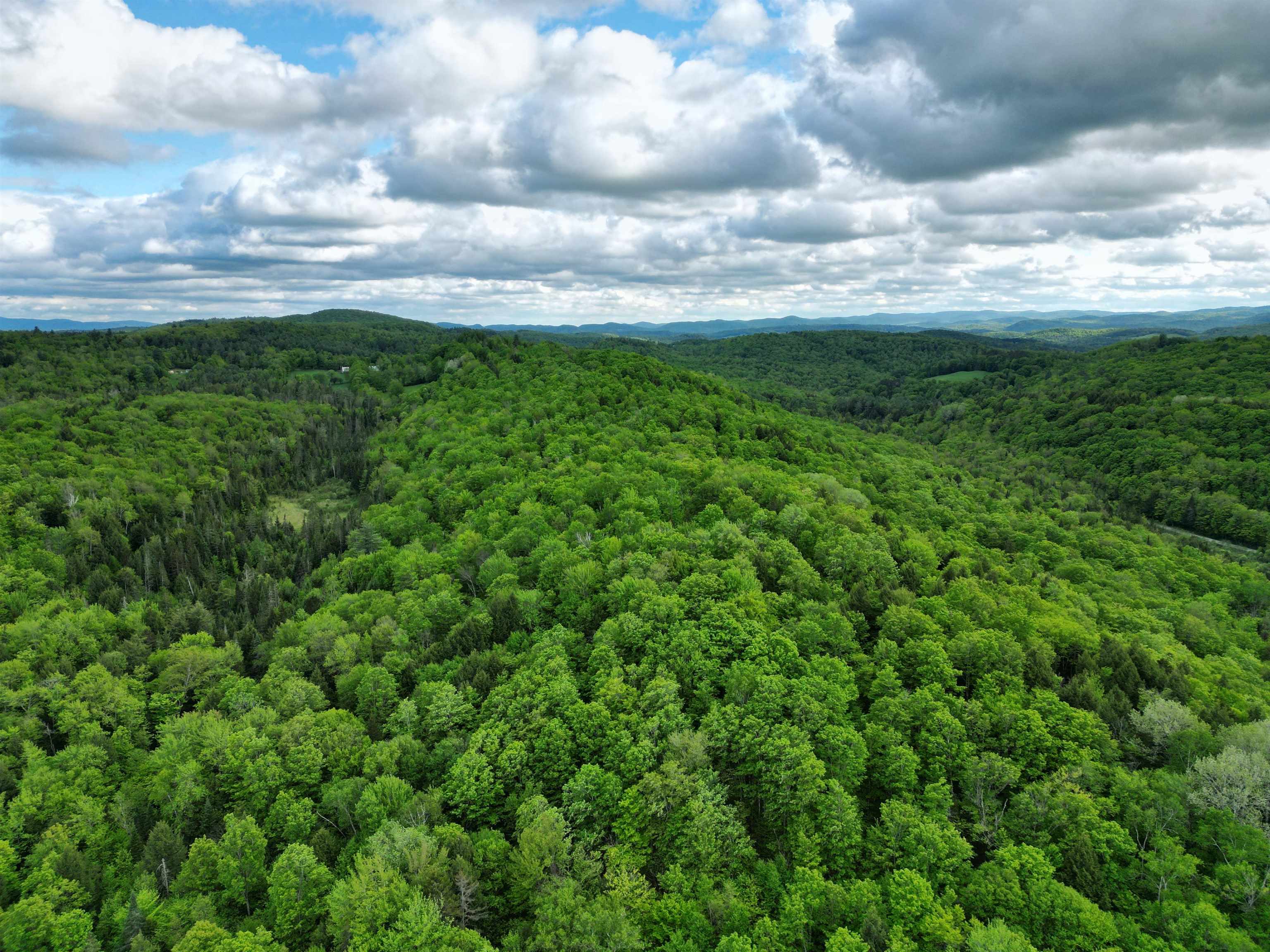4823 Swamp Road Newbury, VT 05051 - Photo 6 of 10