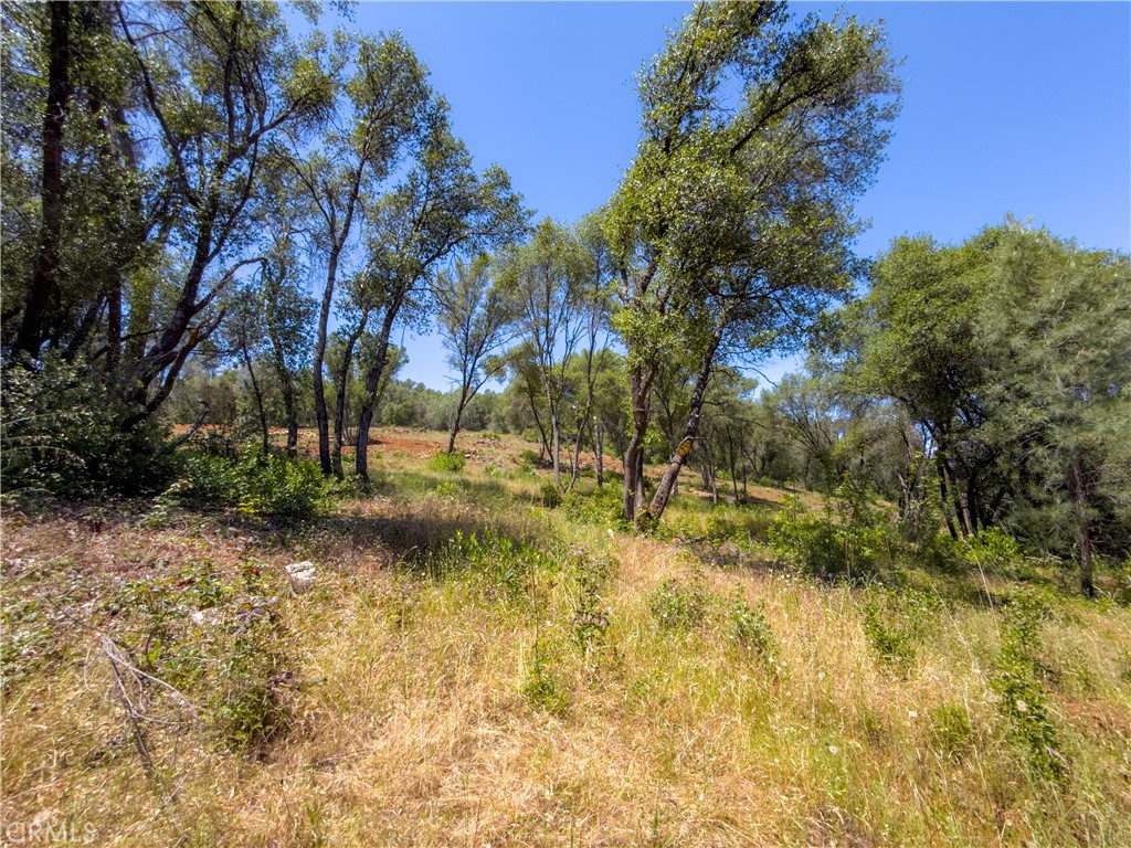 10 Miller Road Mariposa, CA 95338 - Photo 33 of 34 a view of backyard of green space
