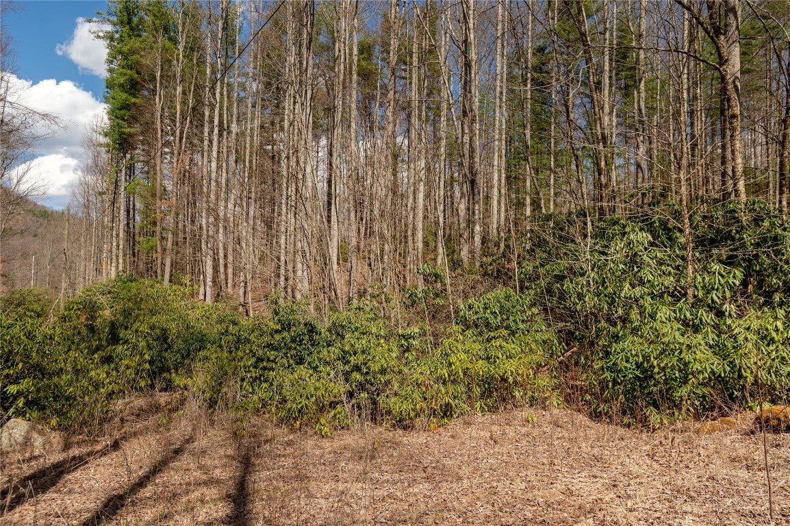 1641 White Rock Road Cullowhee, NC 28723 - Photo 18 of 27 Gallery Image 18