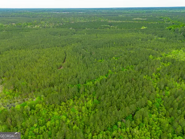 $1,395,654 | 0 Highway 129, Abbeville, GA 31001