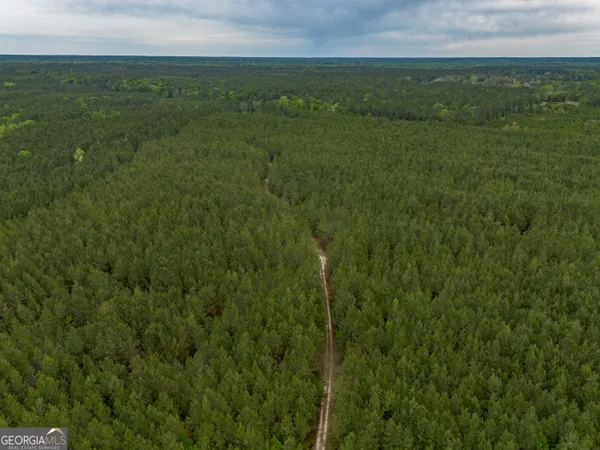 $1,395,654 | 0 Highway 129, Abbeville, GA 31001