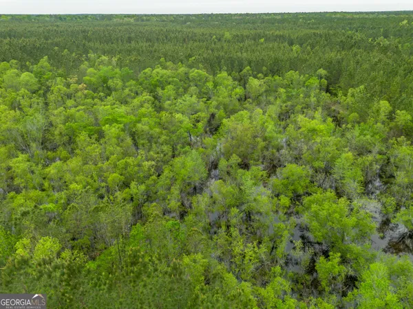 $1,395,654 | 0 Highway 129, Abbeville, GA 31001