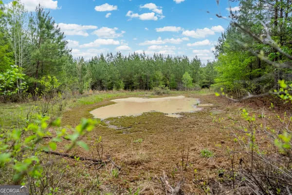 $1,395,654 | 0 Highway 129, Abbeville, GA 31001