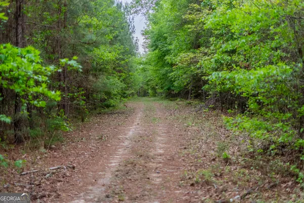 $1,395,654 | 0 Highway 129, Abbeville, GA 31001