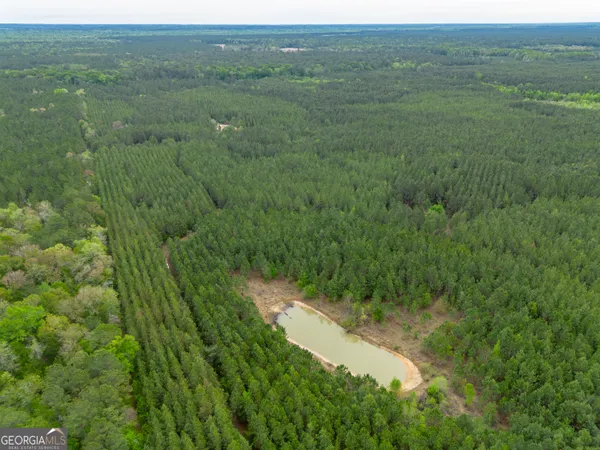 $1,395,654 | 0 Highway 129, Abbeville, GA 31001