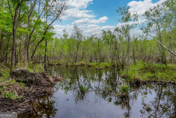 $1,395,654 | 0 Highway 129, Abbeville, GA 31001