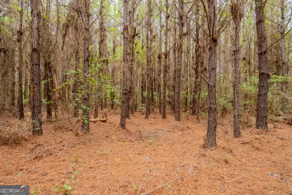 $1,395,654 | 0 Highway 129, Abbeville, GA 31001