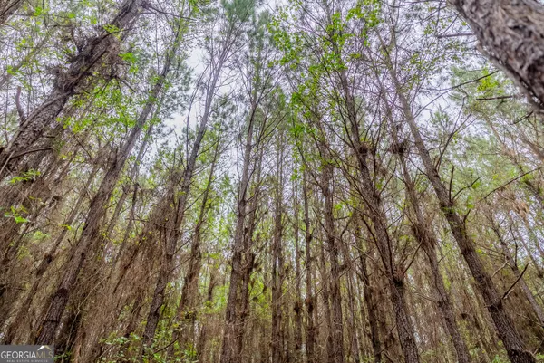 $1,395,654 | 0 Highway 129, Abbeville, GA 31001