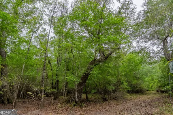 $1,395,654 | 0 Highway 129, Abbeville, GA 31001