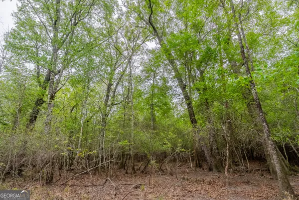 $1,395,654 | 0 Highway 129, Abbeville, GA 31001