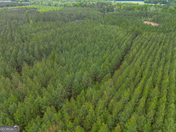 $1,395,654 | 0 Highway 129, Abbeville, GA 31001