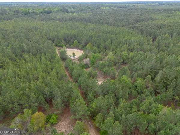 $1,395,654 | 0 Highway 129, Abbeville, GA 31001