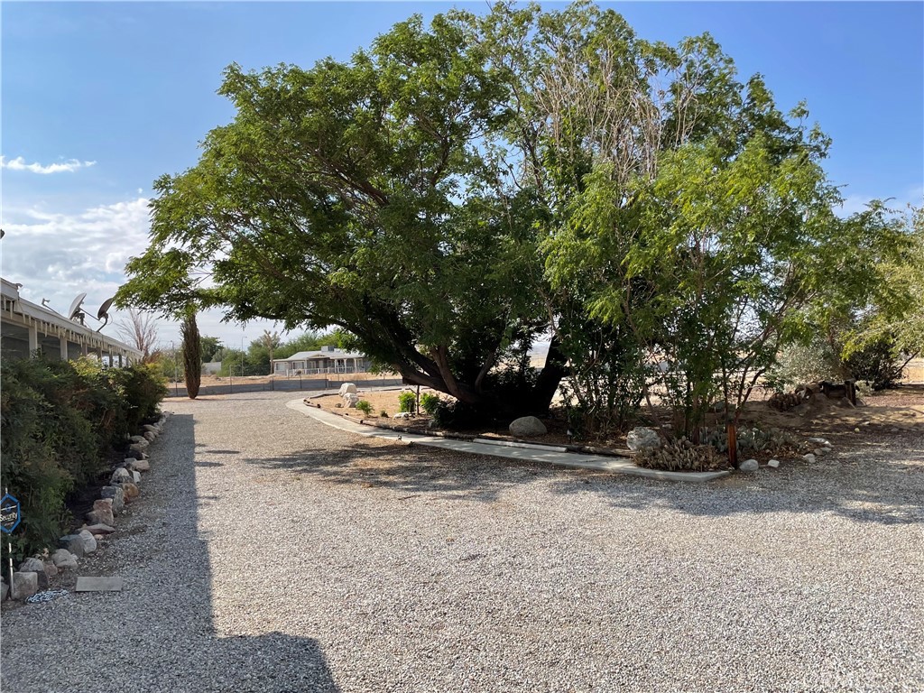 65585 4th Street South Joshua Tree, CA 92252 - Photo 19 of 27 a view of road and trees