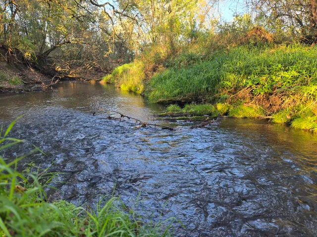 $69,000 | W328 Highway 121, Dover, WI 54755