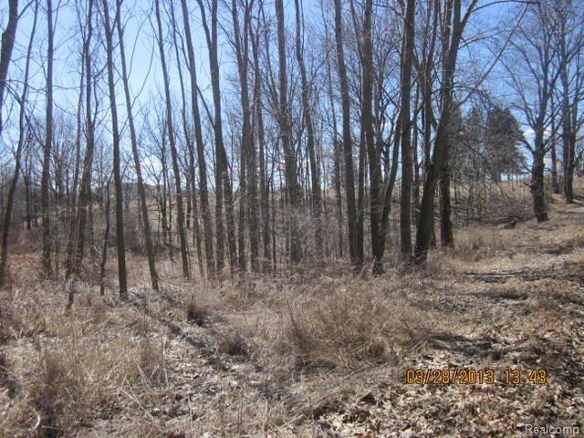 Par C Par C Bruff Road Howell, MI 48855 - Photo 5 of 7 RIGHT.JPG