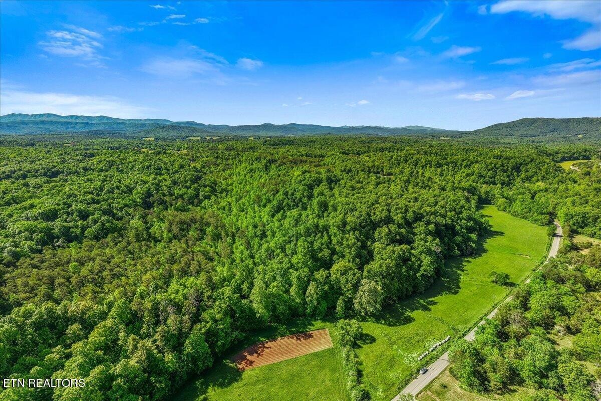 0 Shaddon Road Tellico Plains, TN 37385 - Photo 3 of 17 a view of a city with lush green forest