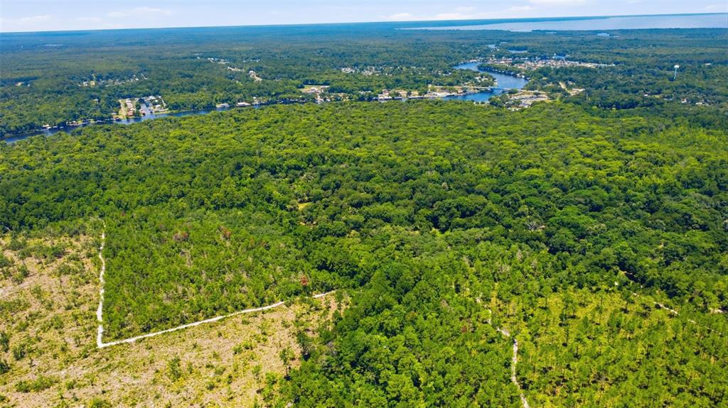 2140 St Johns River Road Astor, FL 32102 - Photo 30 of 36 an aerial view of residential houses with outdoor space and trees