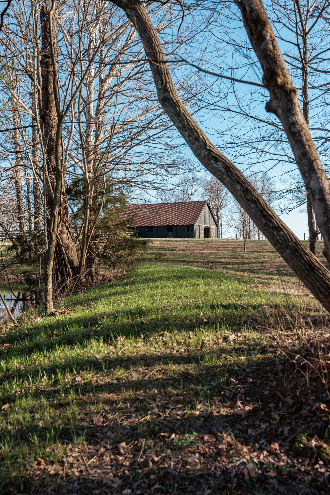 7776 Lampley Road Primm Springs, TN 38476 - Photo 42 of 50 a view of a backyard