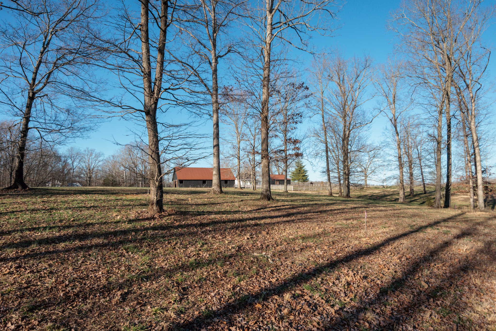 7776 Lampley Road Primm Springs, TN 38476 - Photo 45 of 50 a view of a yard with a trees