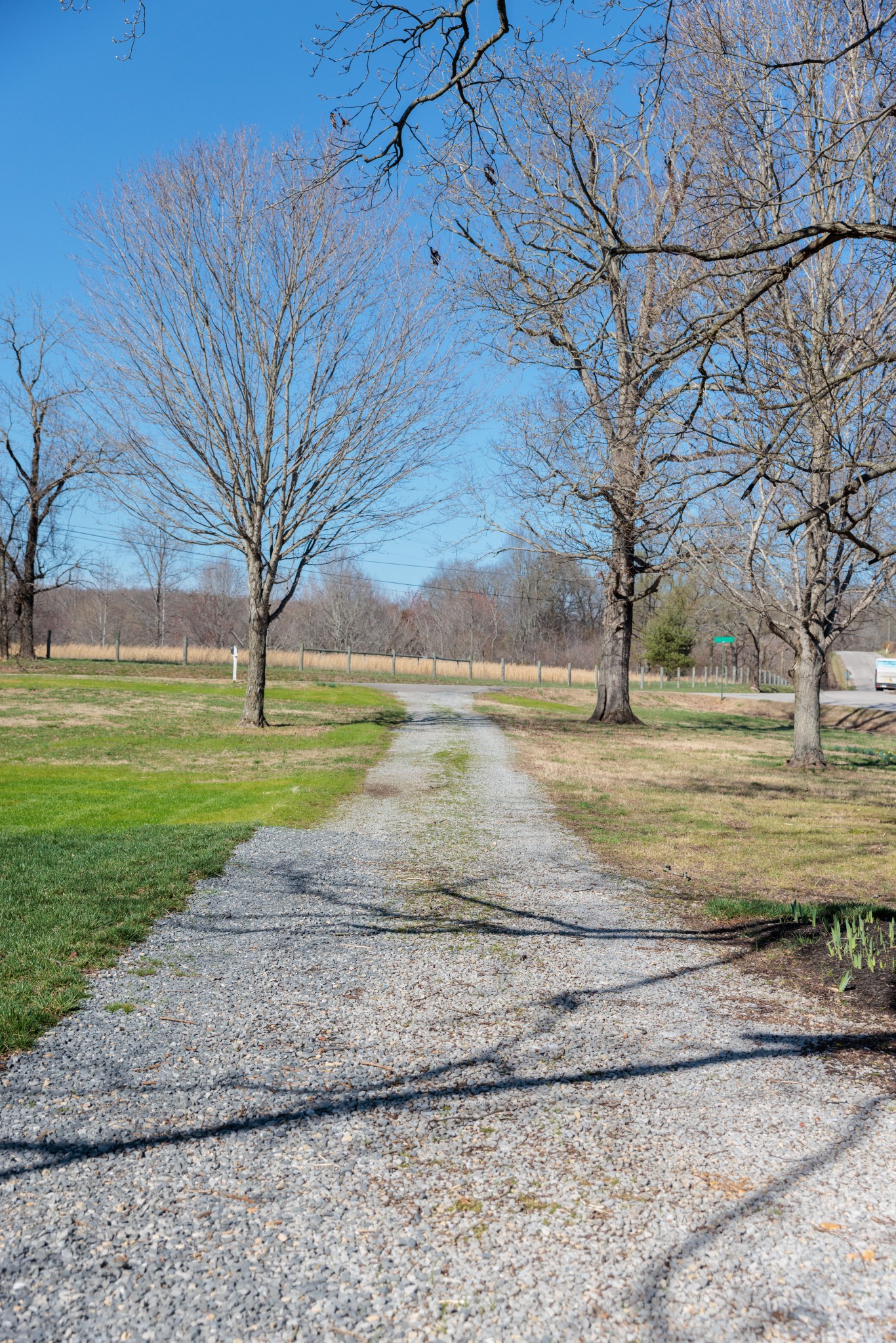 7776 Lampley Road Primm Springs, TN 38476 - Photo 49 of 50 a view of a yard with a house