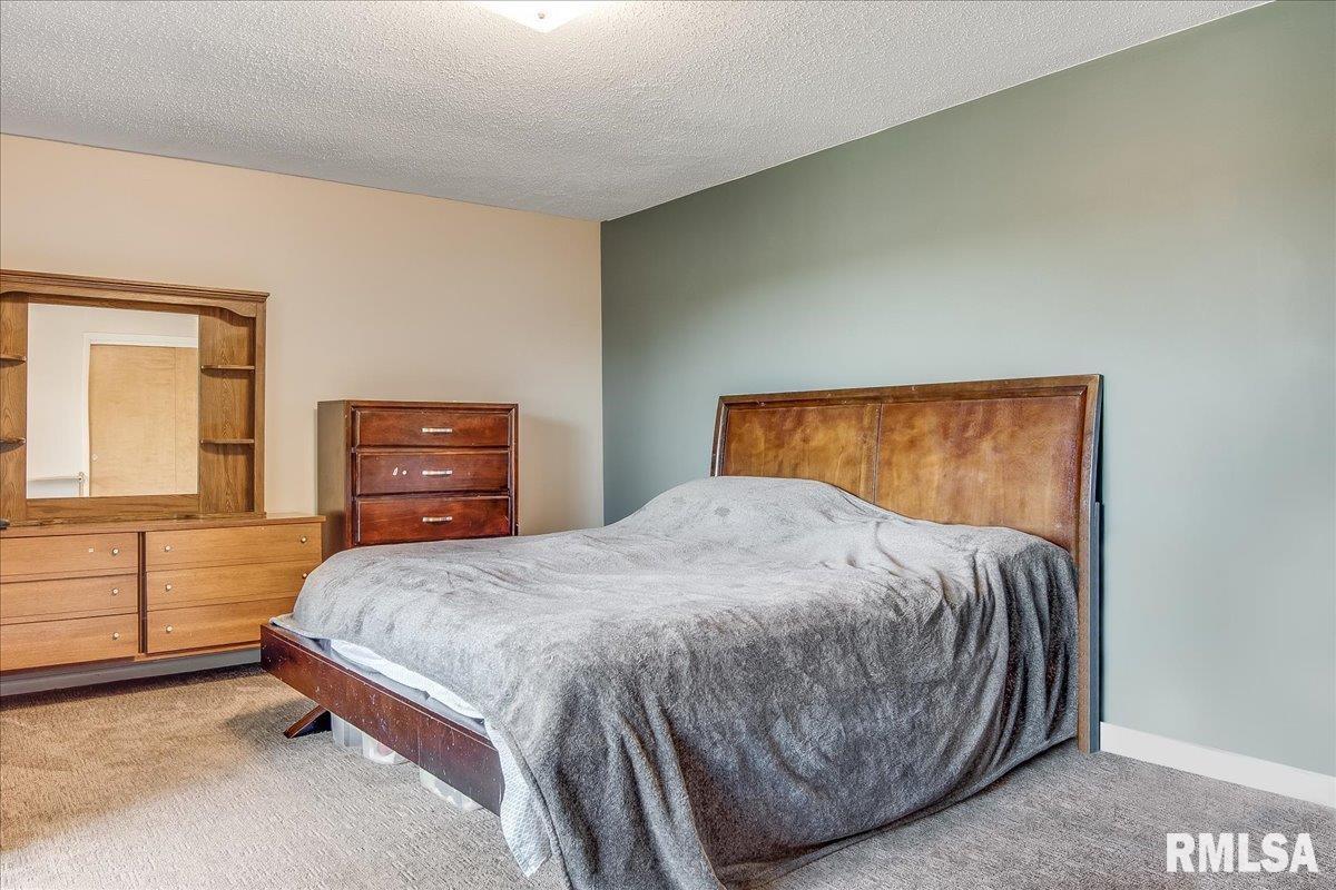 51 Woods Mill Road Sherman, IL 62684 - Photo 20 of 35 Gallery Image 20