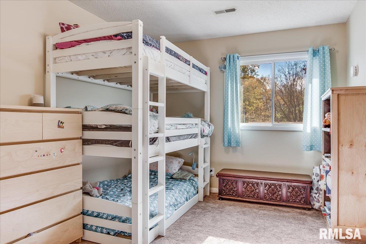 51 Woods Mill Road Sherman, IL 62684 - Photo 25 of 35 Gallery Image 25