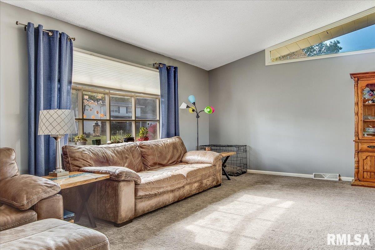 51 Woods Mill Road Sherman, IL 62684 - Photo 6 of 35 Gallery Image 6