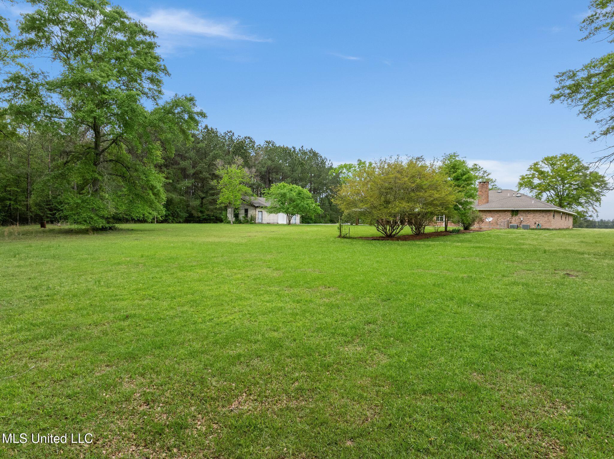41 Todd Road Sumrall, MS 39482 - Photo 54 of 59 41_Todd_Rd-54