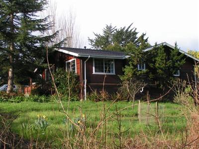 61 Cypress Road Point Reyes Station, CA 94956 - Photo 4 of 6 a view of house with a yard and potted plants