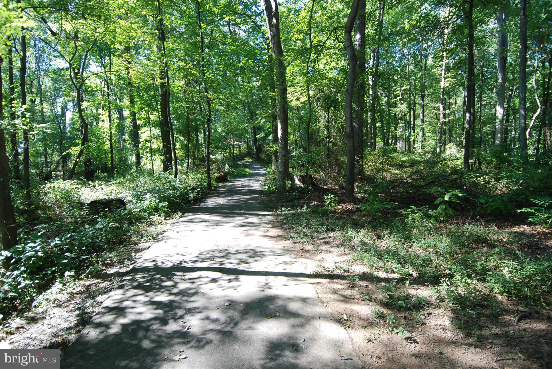 2726 Gallows Road, Unit 1113 Vienna, VA 22180 - Photo 46 of 91 Bike trail