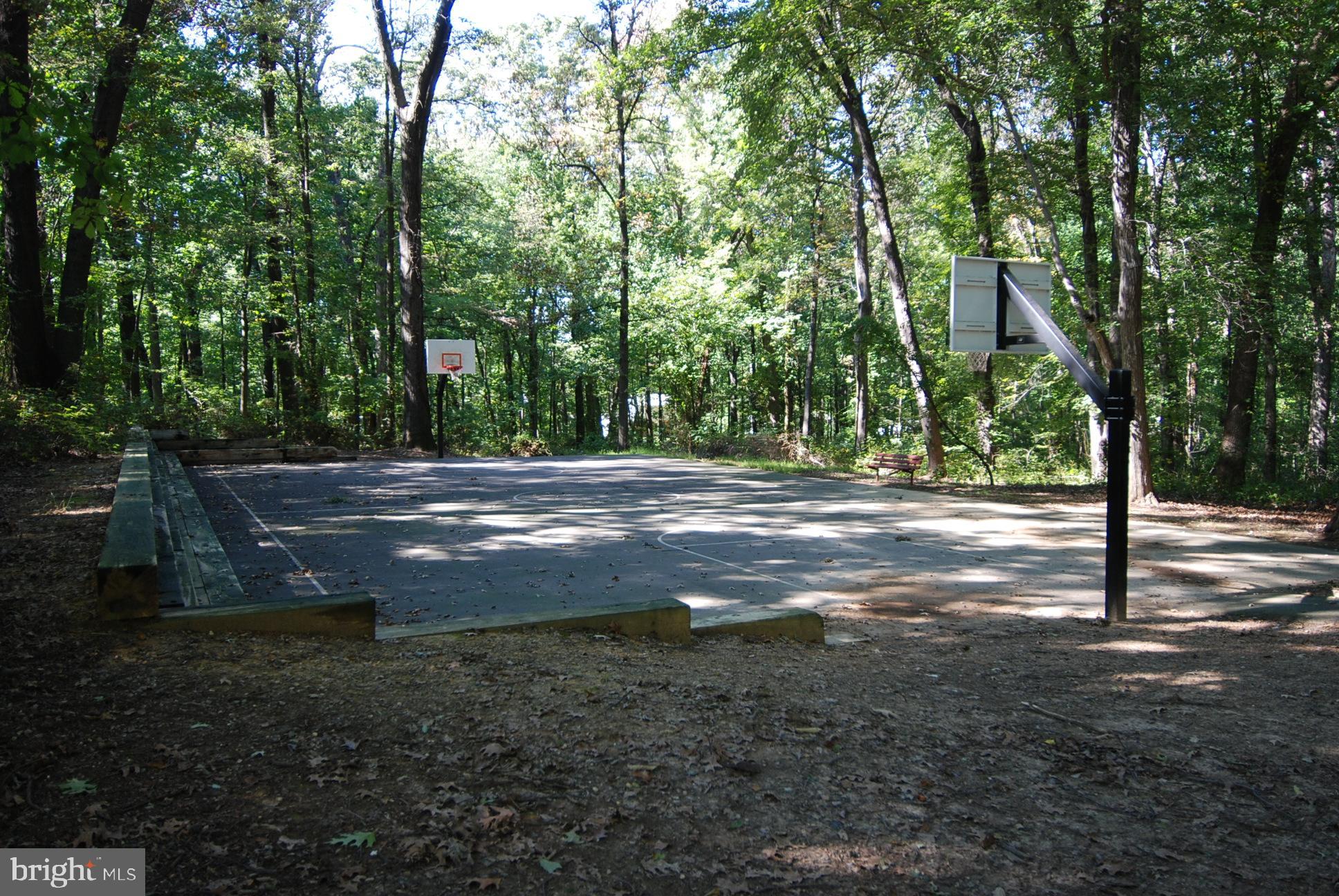 2726 Gallows Road, Unit 1113 Vienna, VA 22180 - Photo 48 of 91