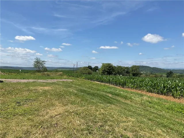 a view of a house with yard and a large tree