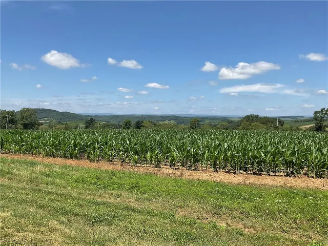 a view of a green field