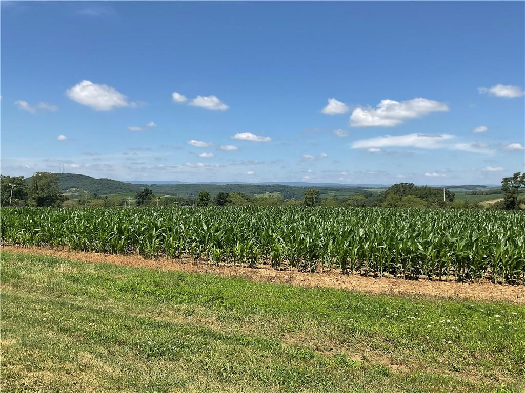 140 Hauger Road Rockwood, PA 15557 - Photo 9 of 50