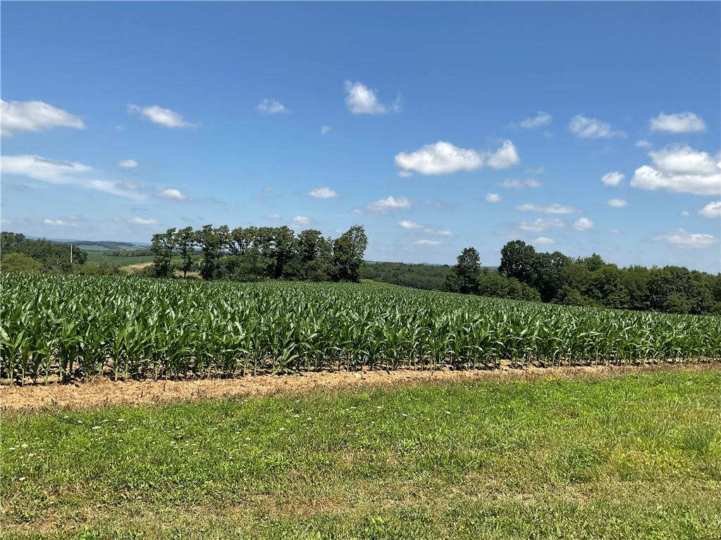 140 Hauger Road Rockwood, PA 15557 - Photo 10 of 50 a view of a green field