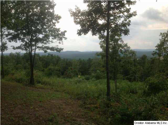 1900 Pepper Road, Unit 55 AC Ashland, AL 36251 - Photo 13 of 20