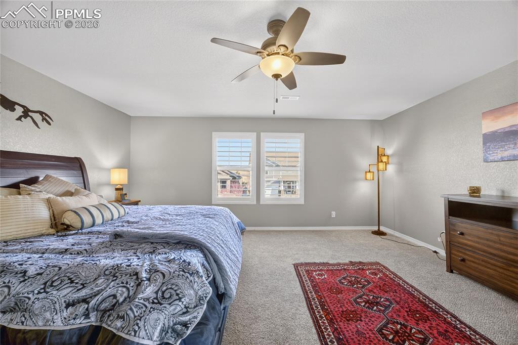 13138 Diamond Edge Way Colorado Springs, CO 80921 - Photo 17 of 32