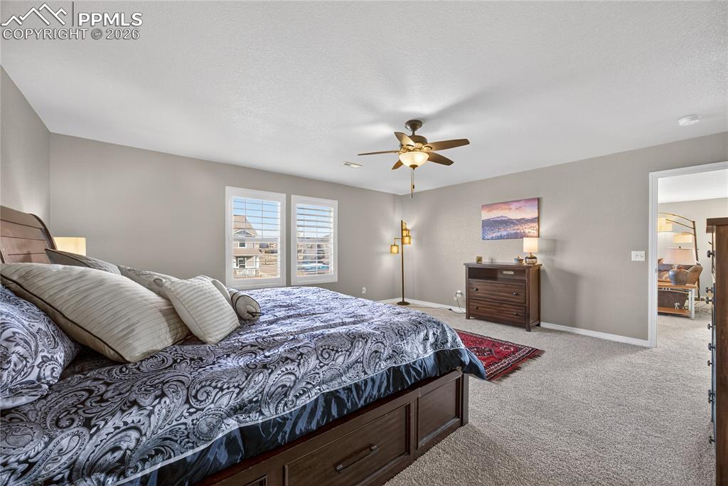 13138 Diamond Edge Way Colorado Springs, CO 80921 - Photo 18 of 32