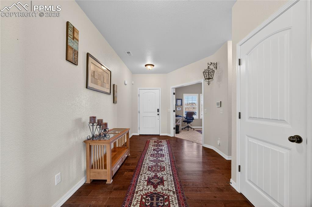 13138 Diamond Edge Way Colorado Springs, CO 80921 - Photo 4 of 32