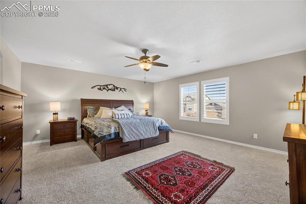 13138 Diamond Edge Way Colorado Springs, CO 80921 - Photo 6 of 32