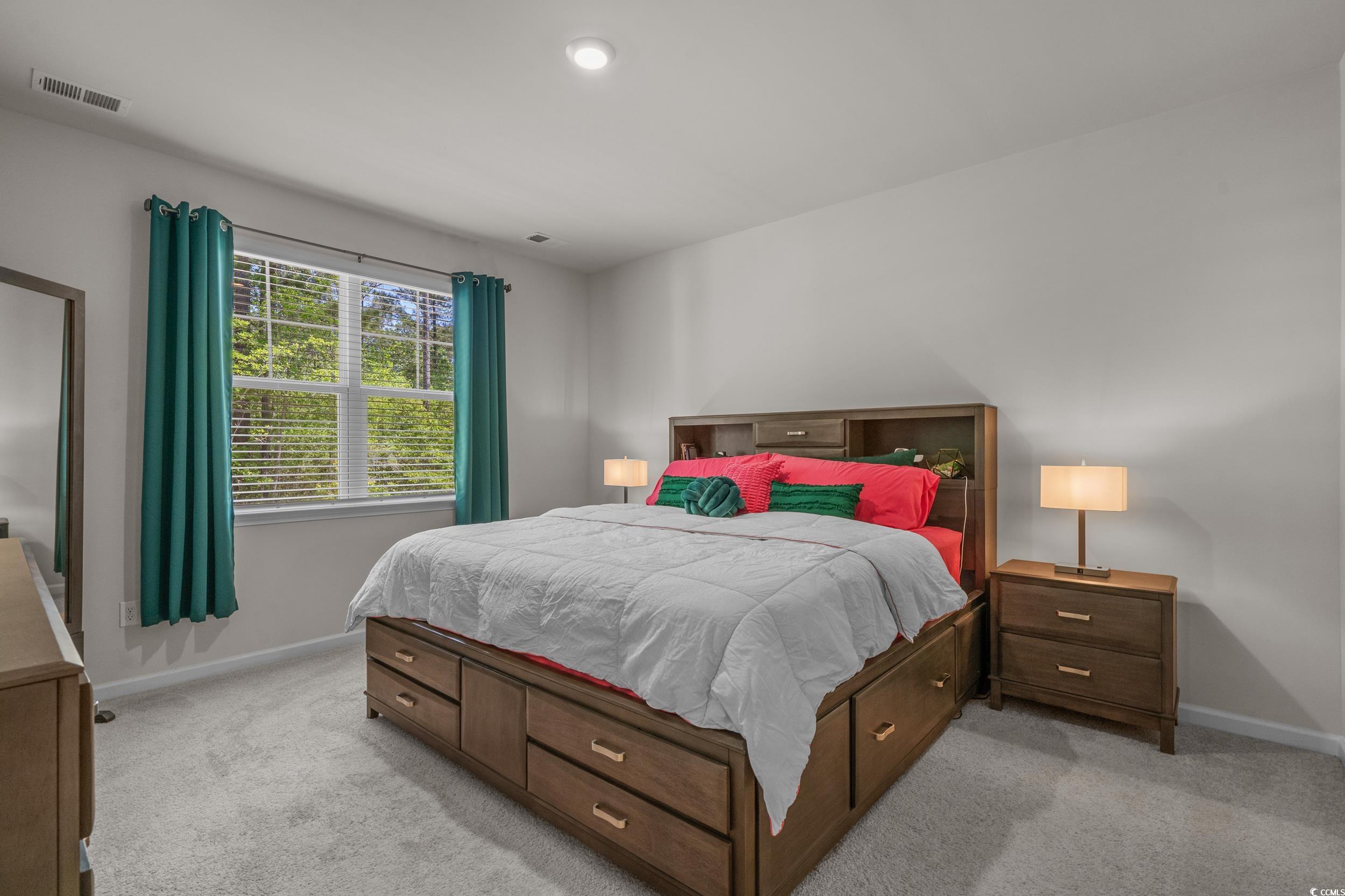847 Flowering Br Avenue Little River, SC 29566 - Photo 14 of 30 Bedroom featuring light carpet and recessed lighting