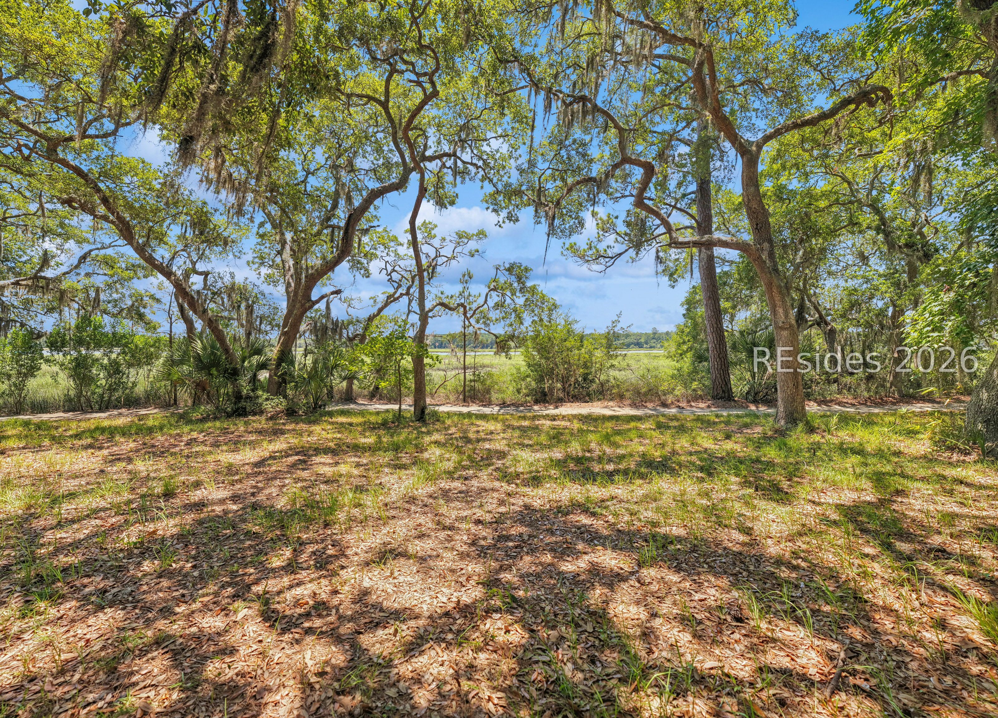 8 Pinckney View Circle Bluffton, SC 29909 - Photo 29 of 29